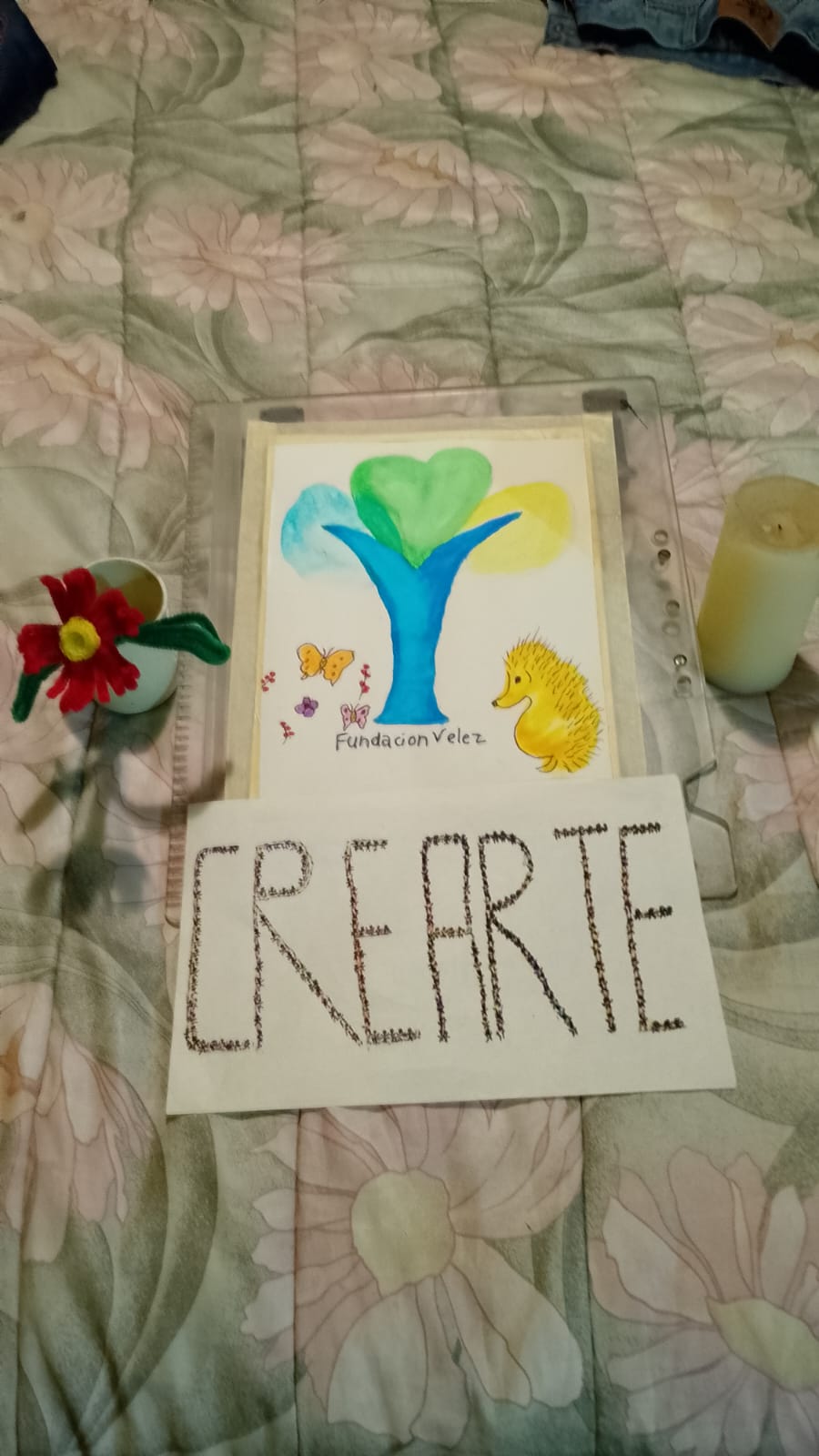 Galería  