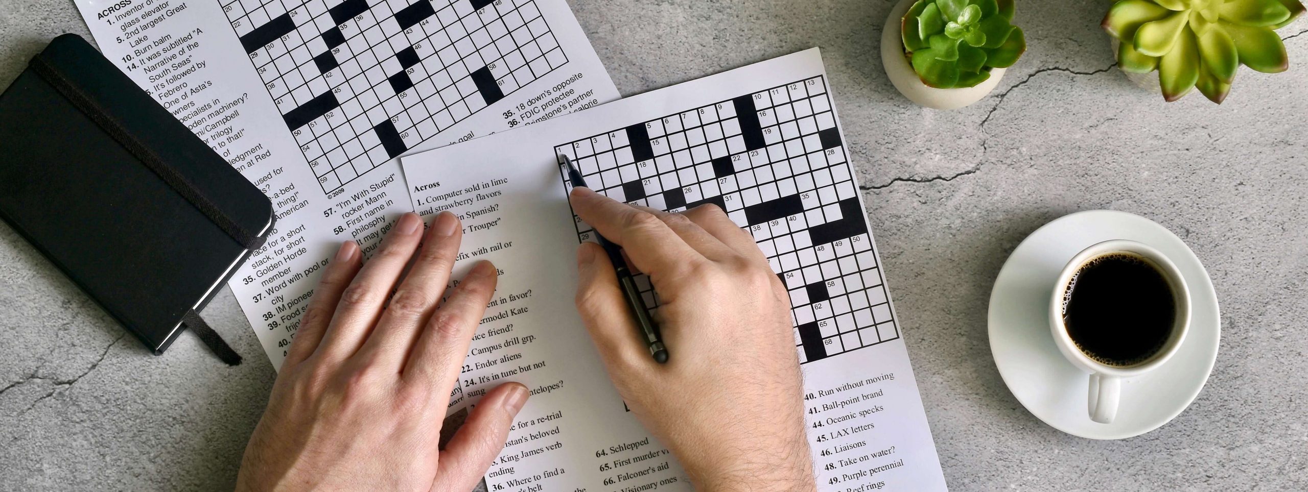 Juegos mentales para adultos mayores